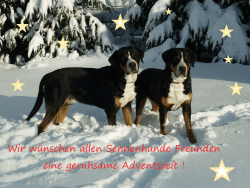 Weihnachtsbild SSV LG-Bayern Süd