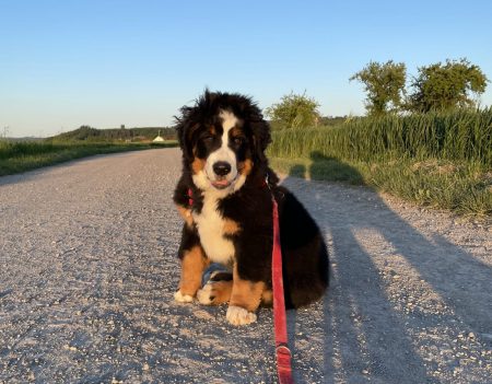 Loni_0574