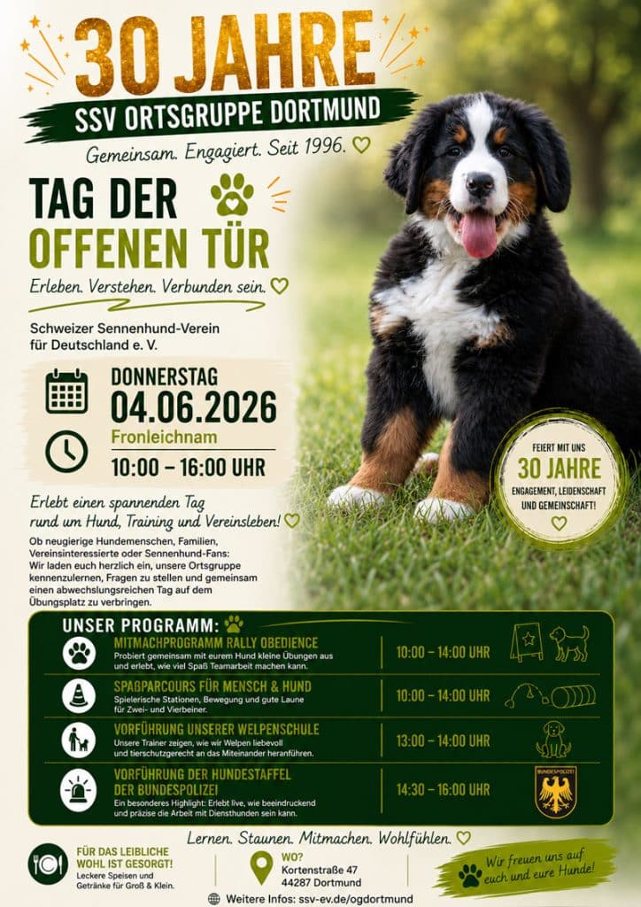 Flyer zum Tag der offenen Tür der SSV Ortsgruppe Dortmund am 04.06.2026 mit Berner Sennenhund Welpen, Programm, Rally Obedience, Parcours, Welpenschule und Hundestaffel der Bundespolizei.
